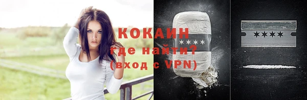дмт Дмитриев
