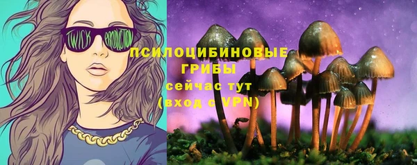 кокс Пестово