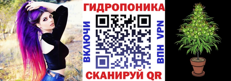 Шишки марихуана LSD WEED  купить   Светлогорск 